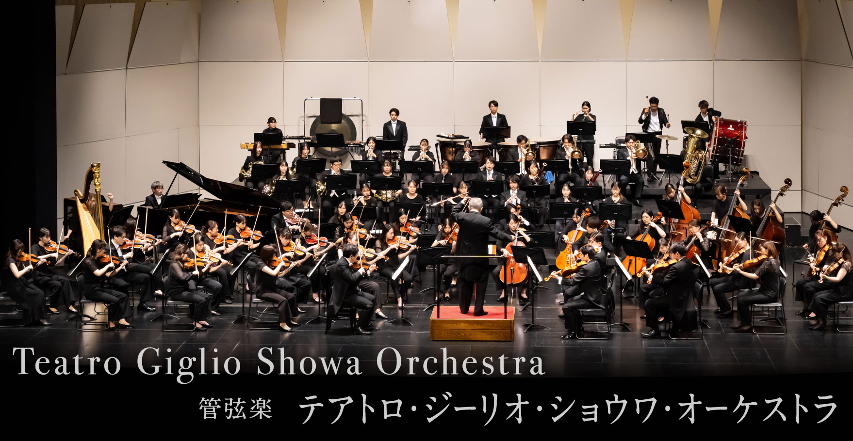 管弦楽：テアトロ・ジーリオ・ショウワ・オーケストラ