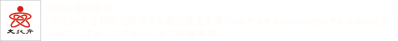 文化庁委託事業「平成30年度戦略的芸術文化創造推進事業（共生社会実現のための芸術文化活動の推進）」バレエによるインクルージョン促進事業  