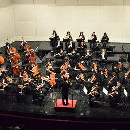 管弦楽：テアトロ・ジーリオ・ショウワ・オーケストラ