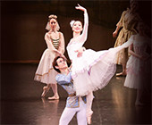 ポーランドの姫