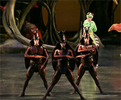 カブトムシさん