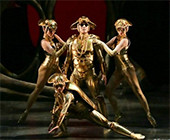 コガネムシさん