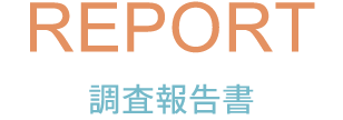 調査報告書