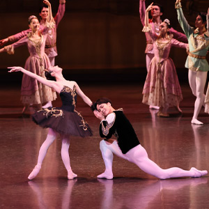 「白鳥の湖」（全1幕）