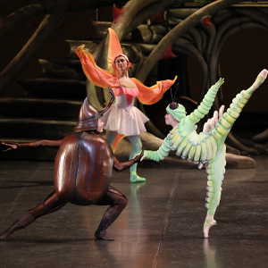 「迷子の青虫さん」